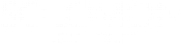 SOLOMON NEW HOMES INTERNATIONAL Ltd logo