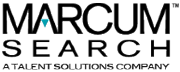 SOLUTION EXECUTIVE SEARCH LLP logo