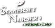 SOMERSET NURSERY SERVICES Ltd logo