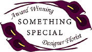 Something Special Ltd logo