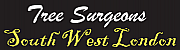 South West London Tree Surgeons logo