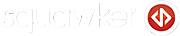 Squawknet Ltd logo