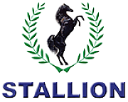 Stallion Properties Ltd logo
