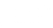Star Events Group Ltd logo