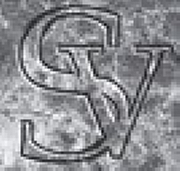 Stone Vision Ltd logo