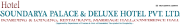 Sultan of Sound Ltd logo