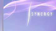 Synergy It Services Ltd logo