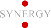 Synergy Resourcing International Ltd logo