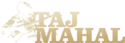 TAJ MAHAL INTERNATIONAL Ltd logo