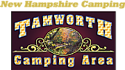 Tamworth V.E. Ltd logo