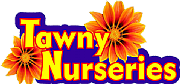 Tawny Touring Ltd logo
