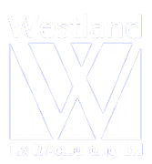 Tax Expert Accountancy Ltd logo