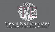 Team Enterprises Ltd logo