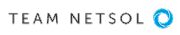 Team Netsol Ltd logo