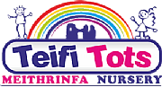 Teifi Tots Ltd logo
