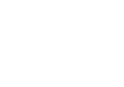 That Web Look logo