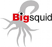 The Big Squid Flyering Company Ltd logo