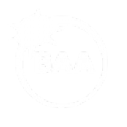 The British Astronomical Association logo