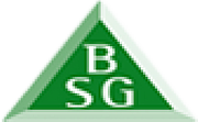 The Building Safety Group Ltd logo