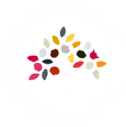 The Cotton Tree logo