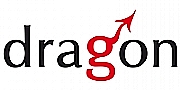 The Dragon Company logo