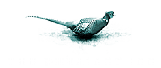 The Pheasant Inn Ltd logo