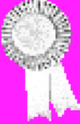 The Really Nice Pub Co Ltd logo