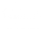 The Sandals Foundation logo
