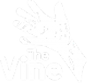 The Vine Maidstone logo