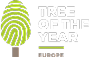 THE VOTING TREE Ltd logo