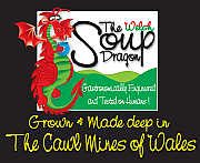 The Welsh Soup Company Ltd logo