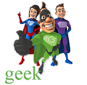 THEGEEKGUYS LTD logo