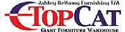 Topcat Ltd logo