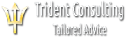 Trident Consulting Ltd logo
