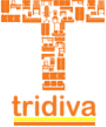 Tridiva It Solutions Ltd logo