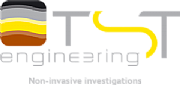 Tst Group Ltd logo