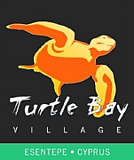 Turtle Village Ltd logo