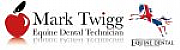Twigg Equine Dental Technician/Horse Dentist logo