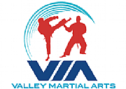 VALLEY MARTIAL ARTS LLP logo