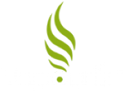 Vapouriz Ltd logo