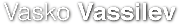 Vassilev Ltd logo