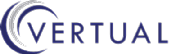 VERTUAL SYSTEMS DESIGNS LTD logo