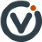 Vizion It Ltd logo