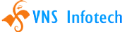 VNS INFOTECH LTD logo