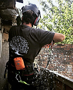 Warlingham & Surrey Tree Surgeon logo