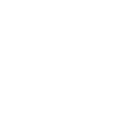 Wavesplitter International, Inc logo
