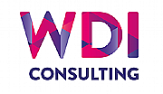 Wdi Consulting Ltd logo