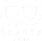 WE ARE BRAZEN Ltd logo