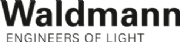 Wealdmon Ltd logo