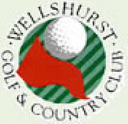 Wellhurst Ltd logo